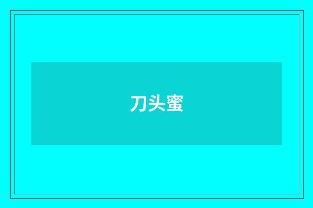 刀头蜜