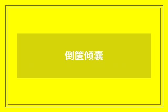 倒箧倾囊