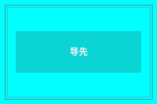 导先