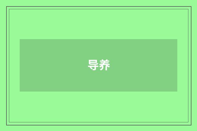 导养