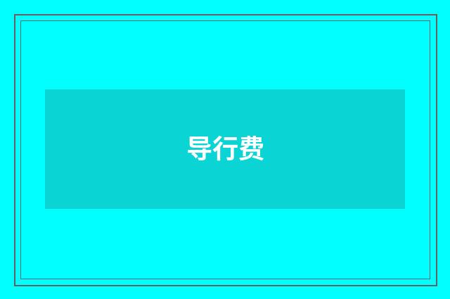 导行费