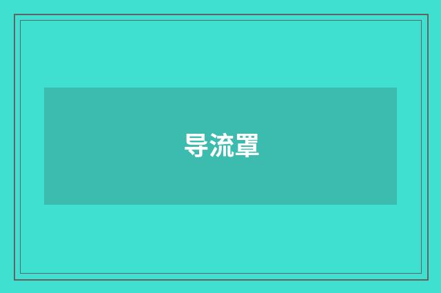 导流罩