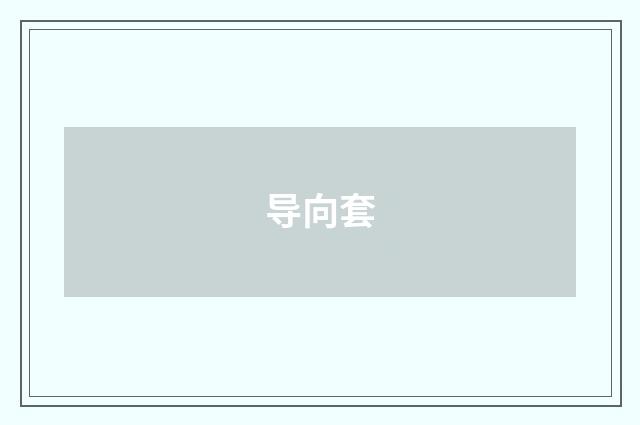 导向套