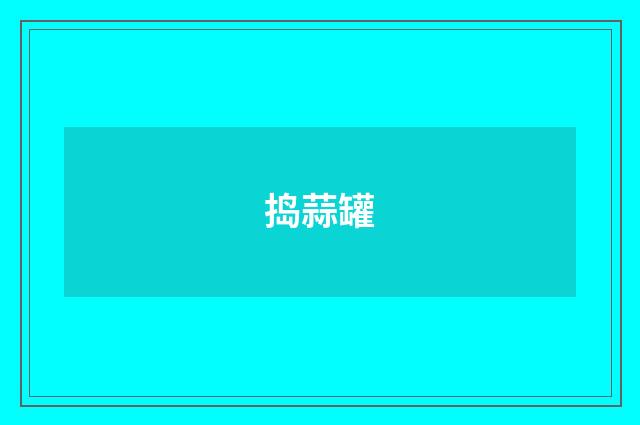 捣蒜罐
