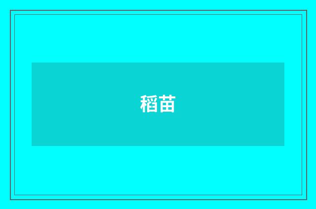 稻苗