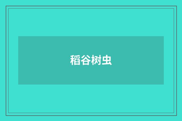 稻谷树虫