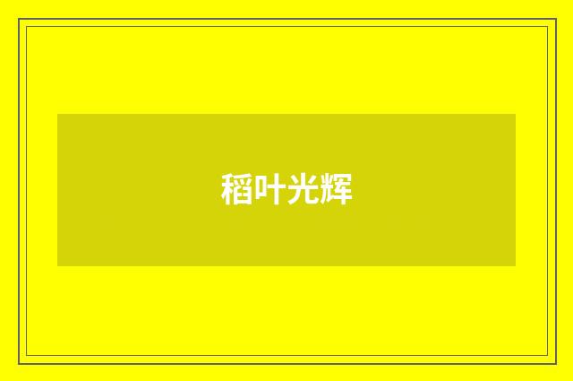 稻叶光辉
