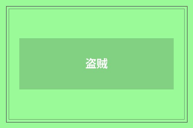盗贼