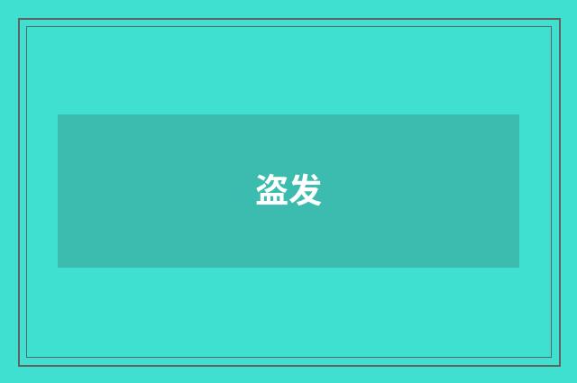 盗发