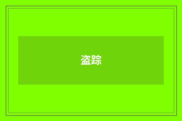 盗踪