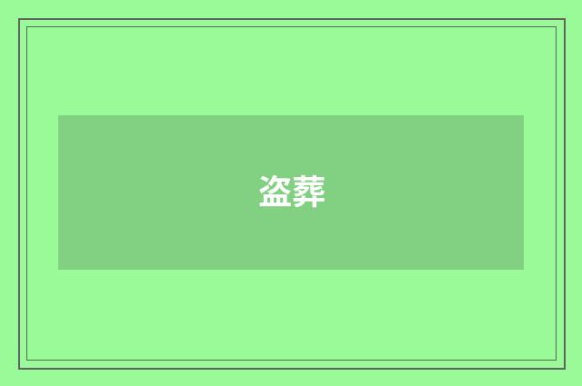 盗葬