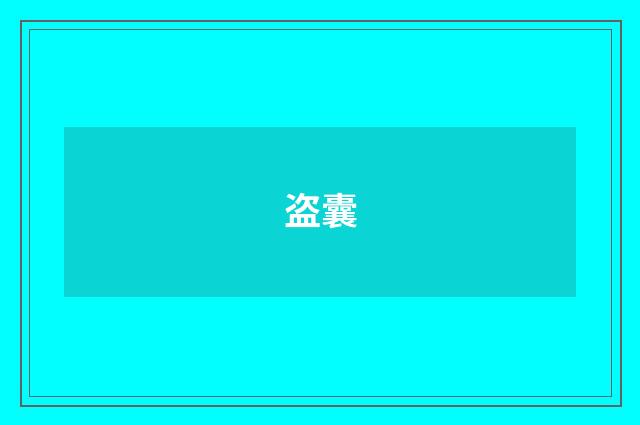 盗囊