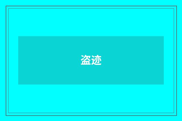 盗迹
