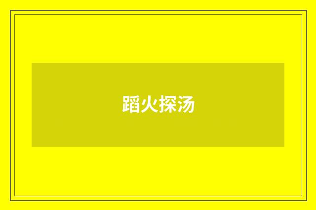 蹈火探汤