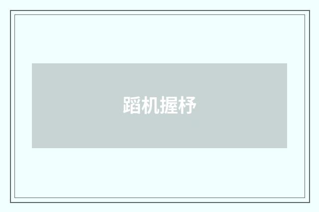蹈机握杼