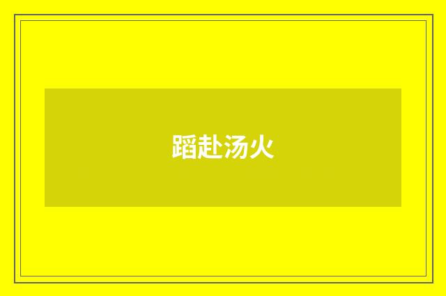 蹈赴汤火