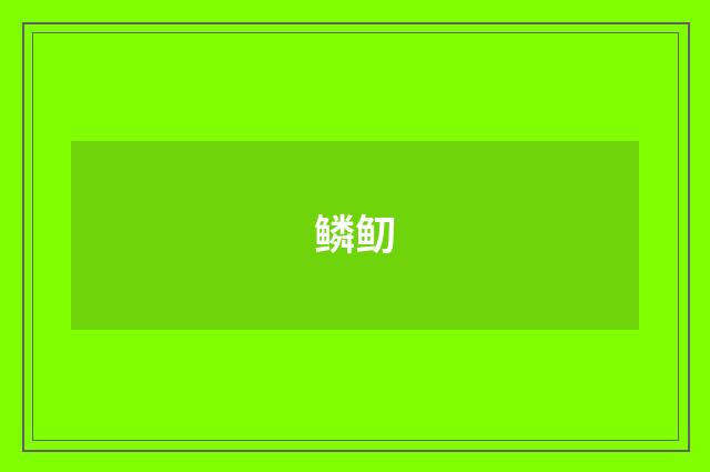 鳞鱽