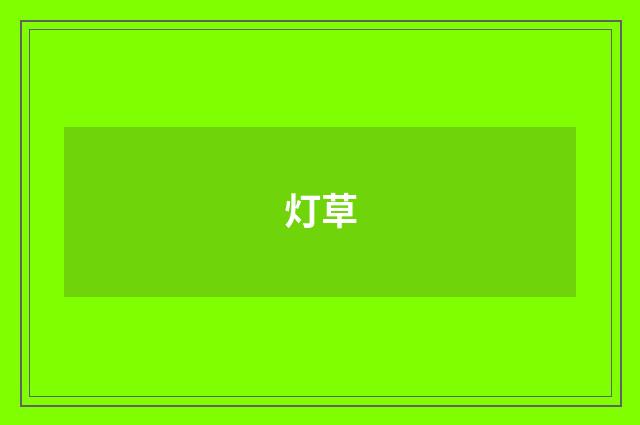 灯草