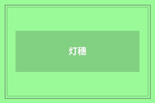 灯穗