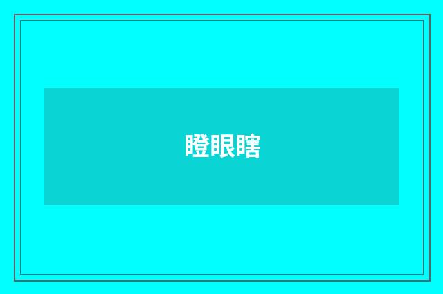 瞪眼瞎
