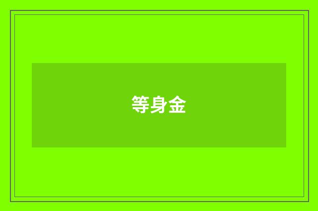 等身金