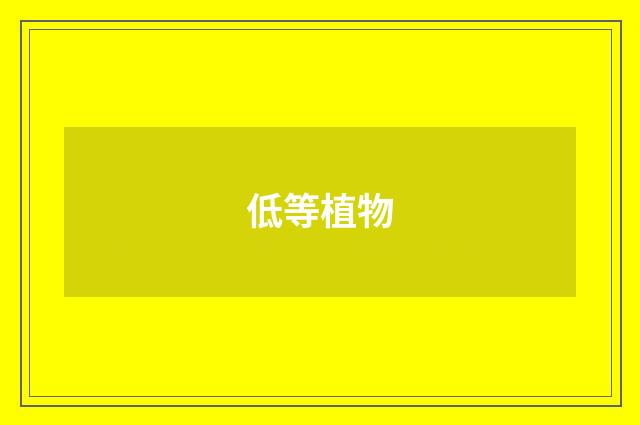 低等植物