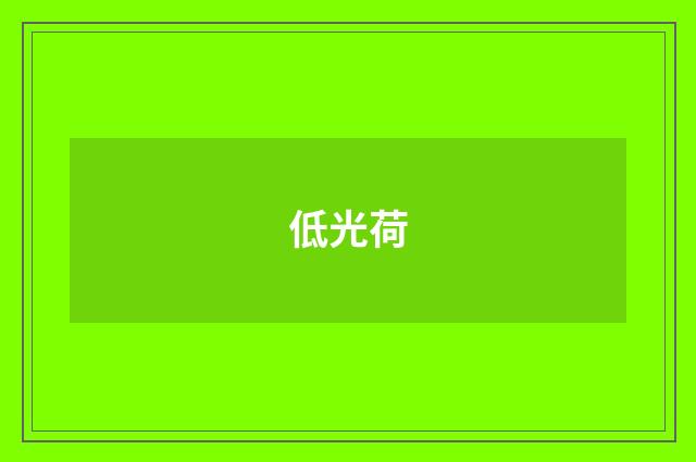 低光荷