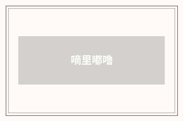 嘀里嘟噜