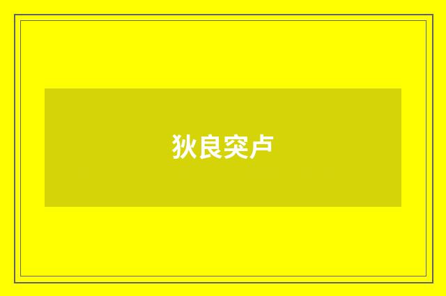狄良突卢