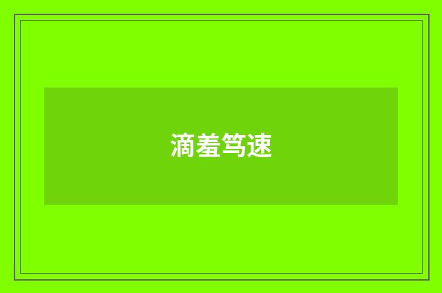 滴羞笃速