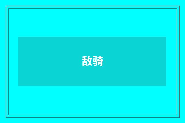 敌骑