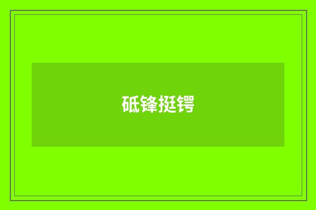 砥锋挺锷