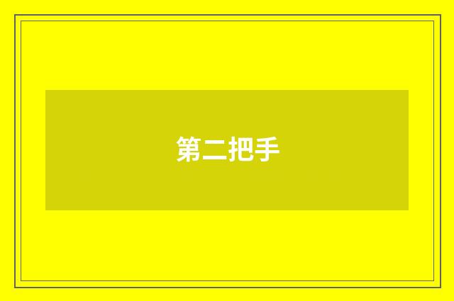 第二把手
