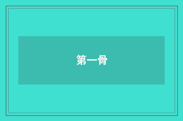 第一骨