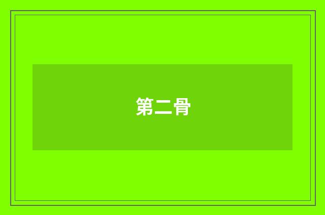 第二骨