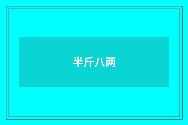 半斤八两
