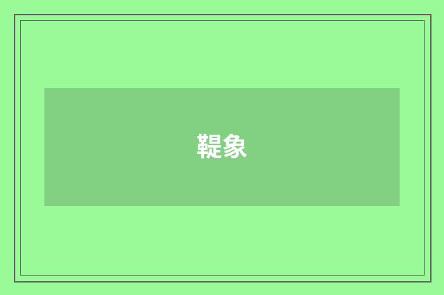 鞮象