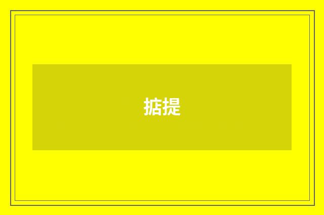 掂提