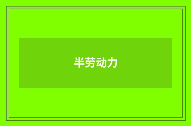 半劳动力