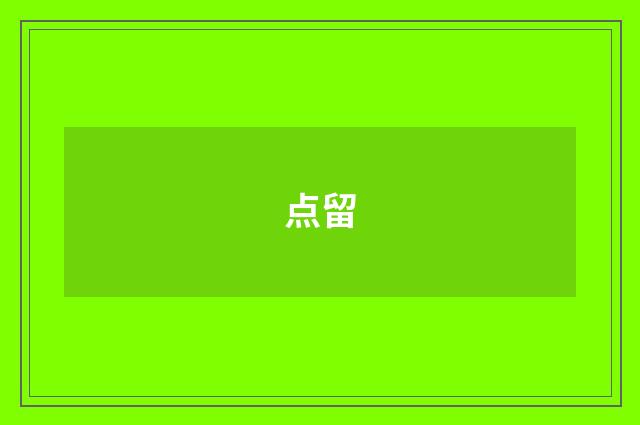 点留