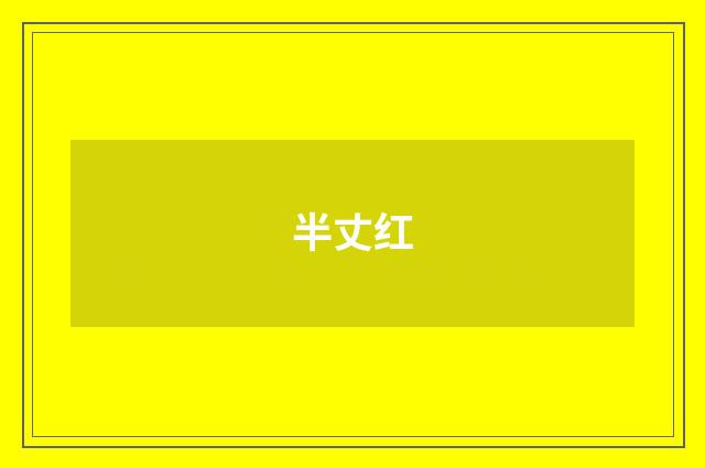 半丈红