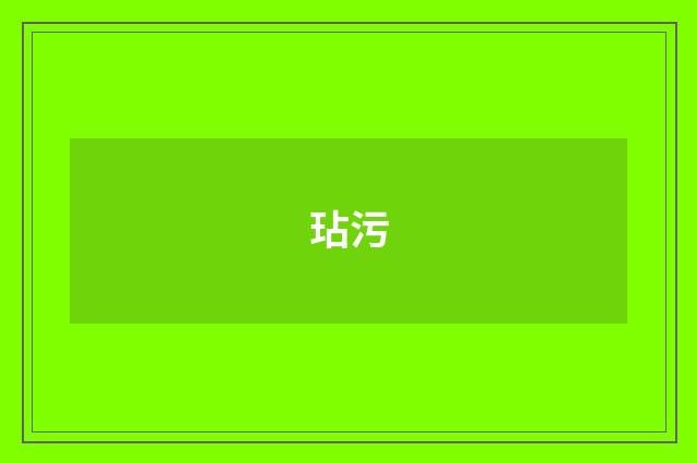 玷污