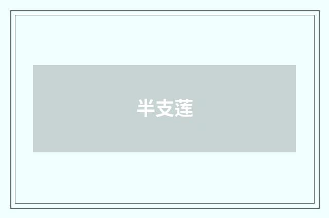 半支莲