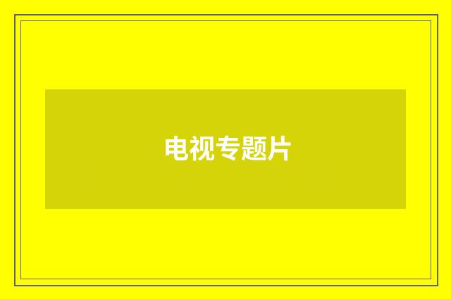 电视专题片