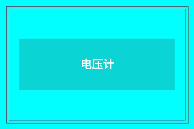 电压计