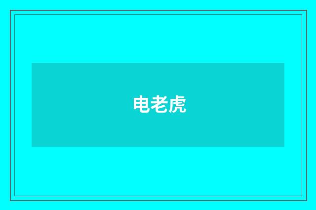 电老虎