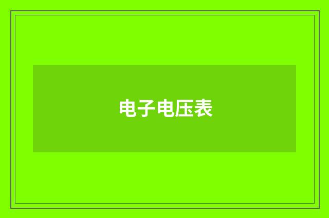 电子电压表