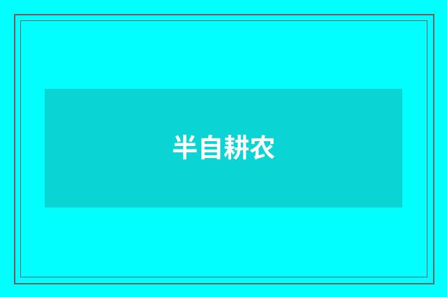 半自耕农