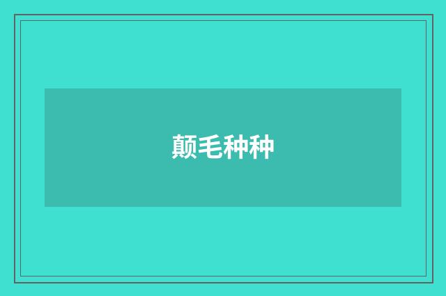 颠毛种种