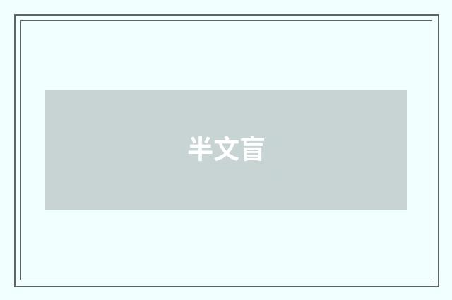 半文盲